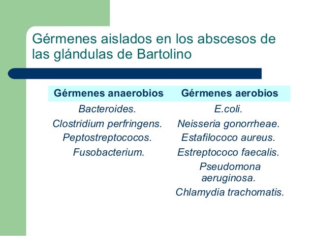 absceso de bartolino tratamiento antibiotico